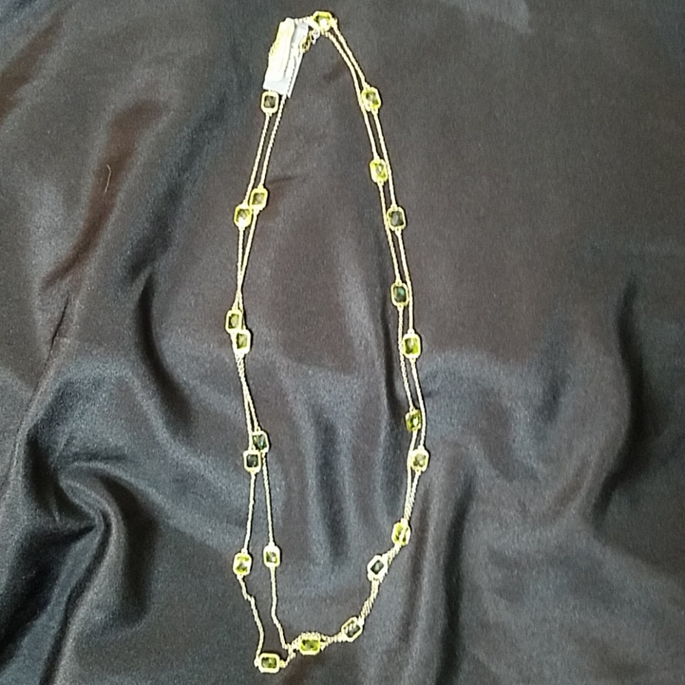 NWT 64" Green Gemstone Station Necklace SALE❗️